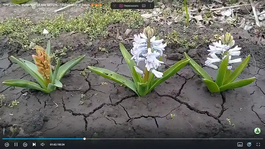 как вернуть почве жизнь