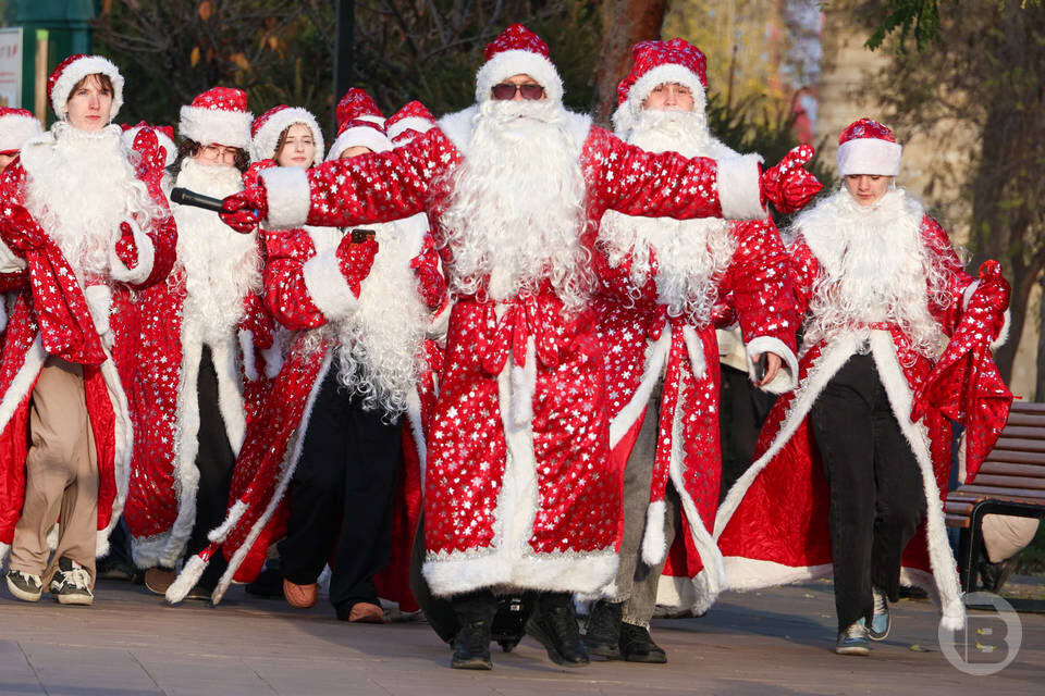    Фото: Дмитрий Рогулин / "Городские вести"