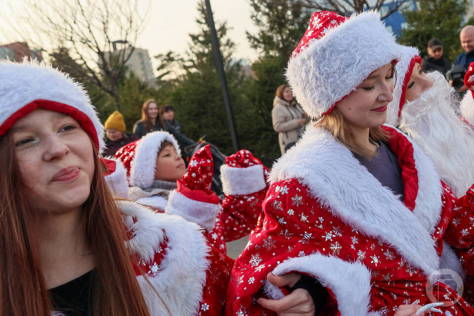   Фото: Дмитрий Рогулин / "Городские вести"