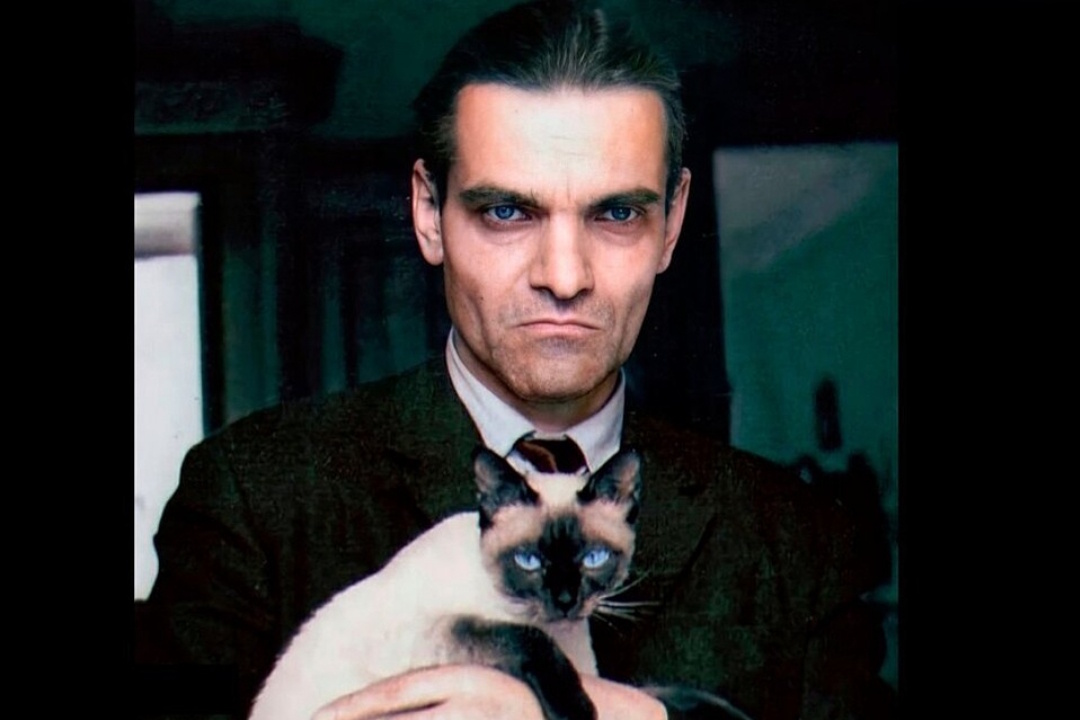 Юрий Кнорозов обожал своих кошек. Фото: архив семьи