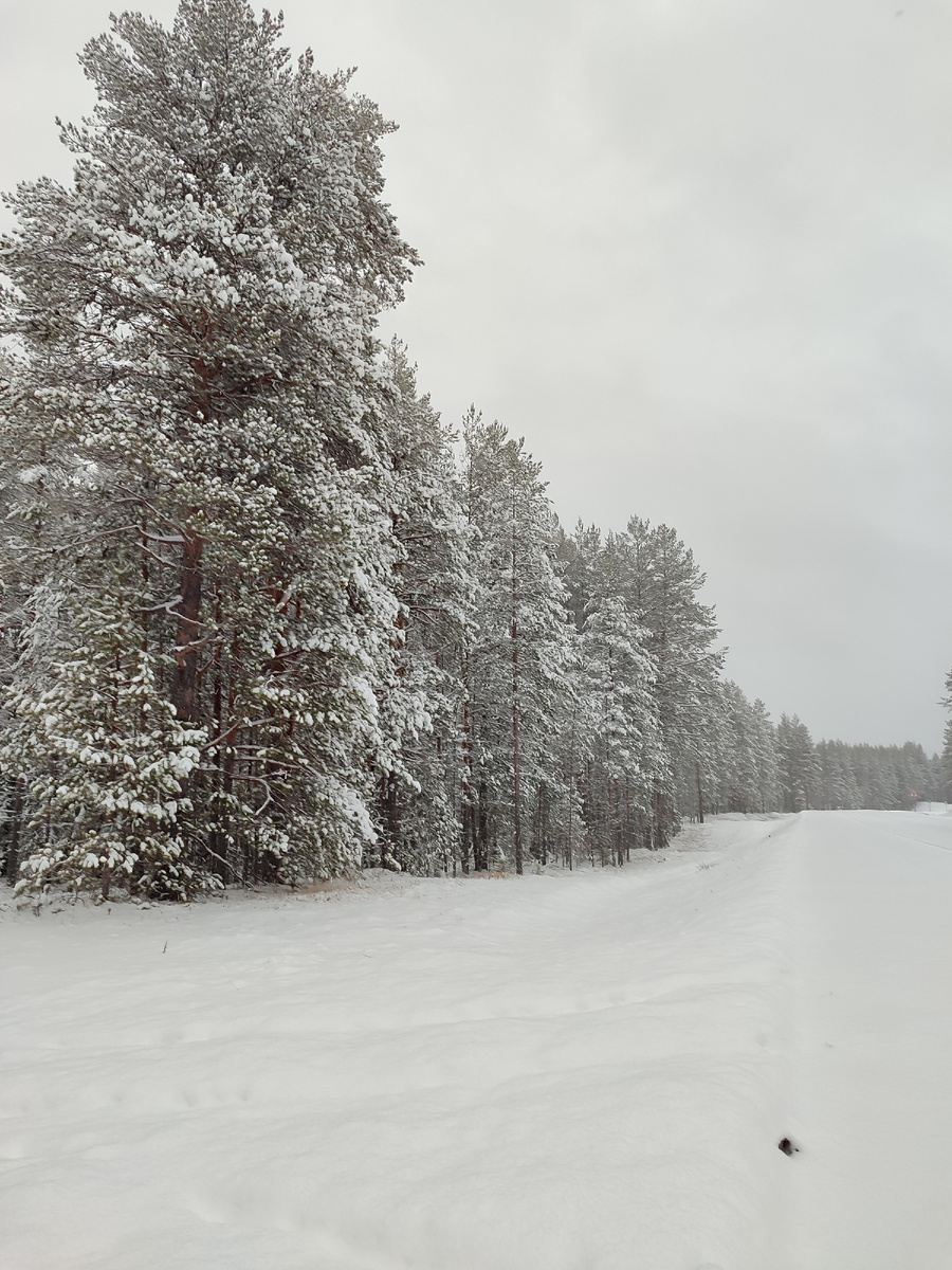 У нас уже зима.