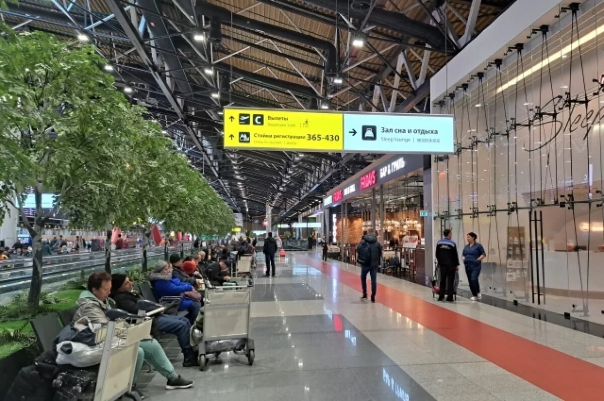    В аэропорту Шереметьево введены ограничения в целях безопасности