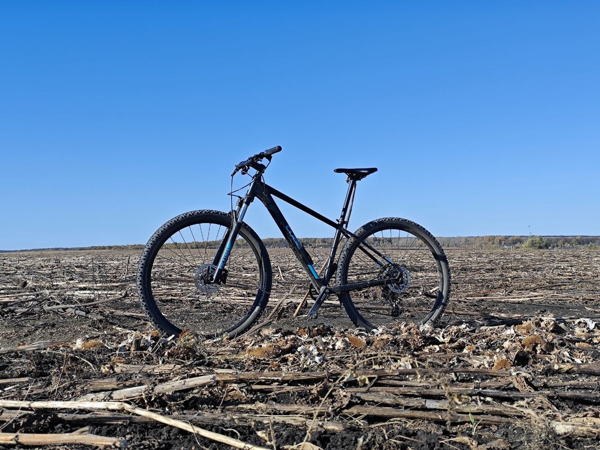 Утренняя прогулка