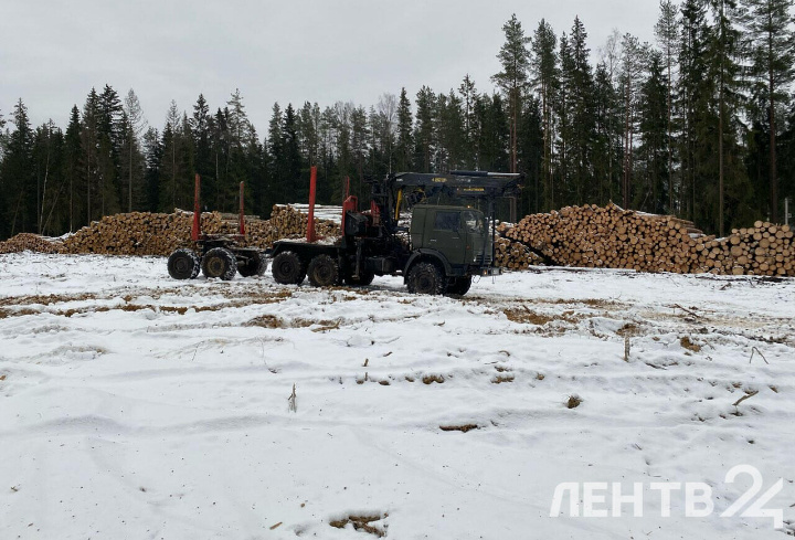 фото: ЛенТВ24