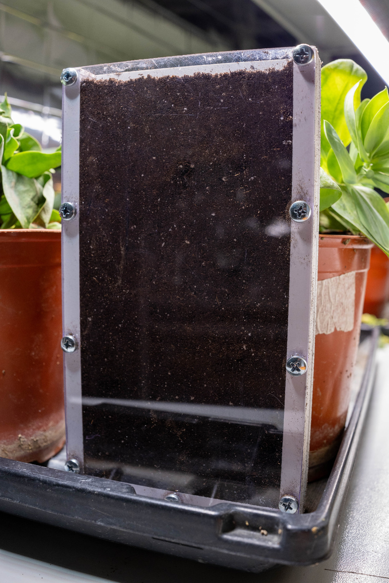 Резатрон уже готов к использованию, фото как и всегда - авторские