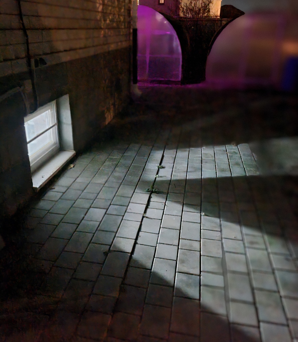 Фото: Зеленая леди, сад, семья и томатный сок 