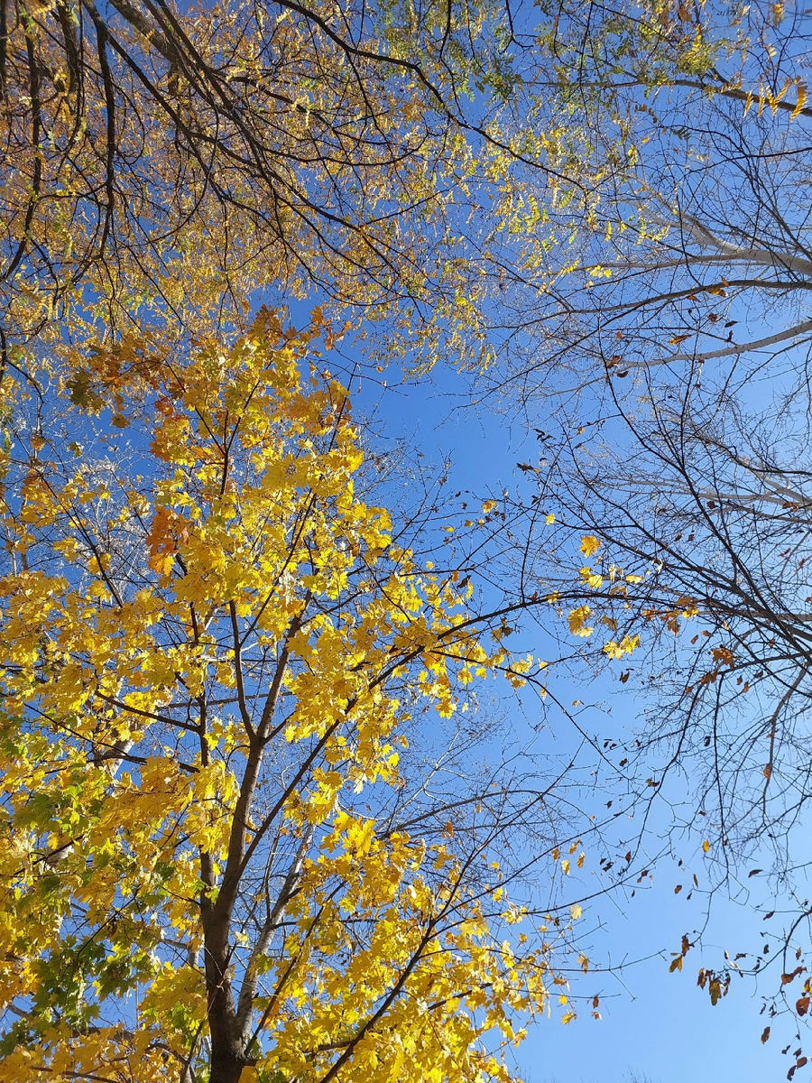 Совсем не осеннее небо