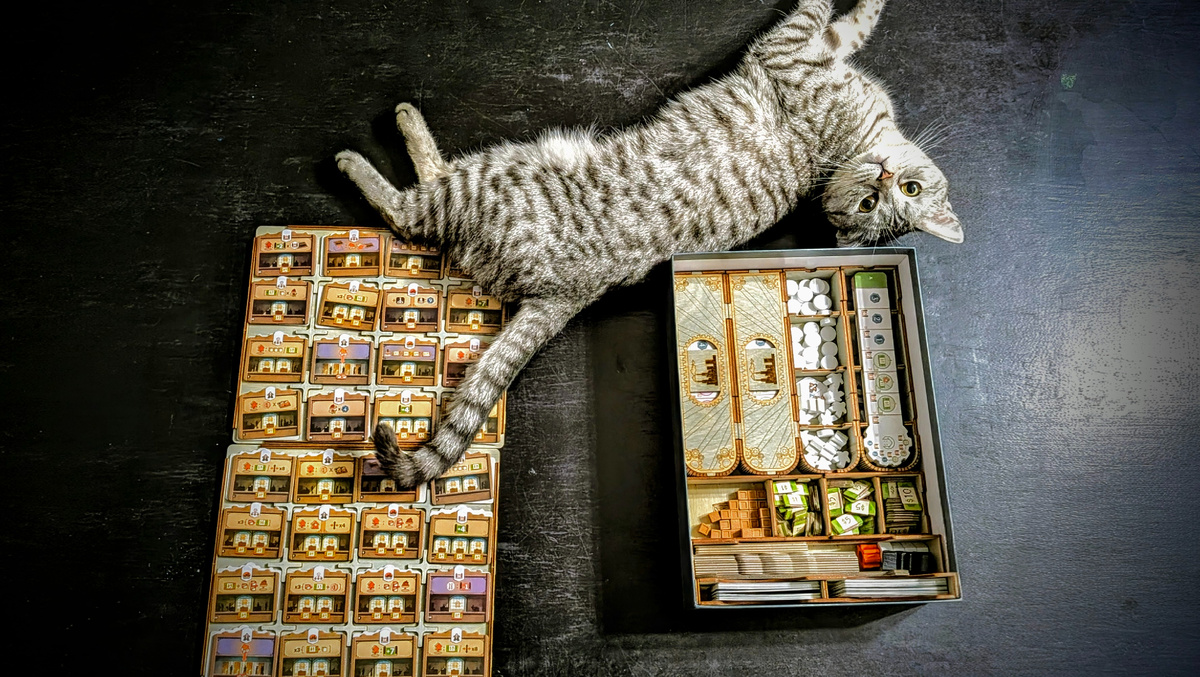 Кошка одобряет