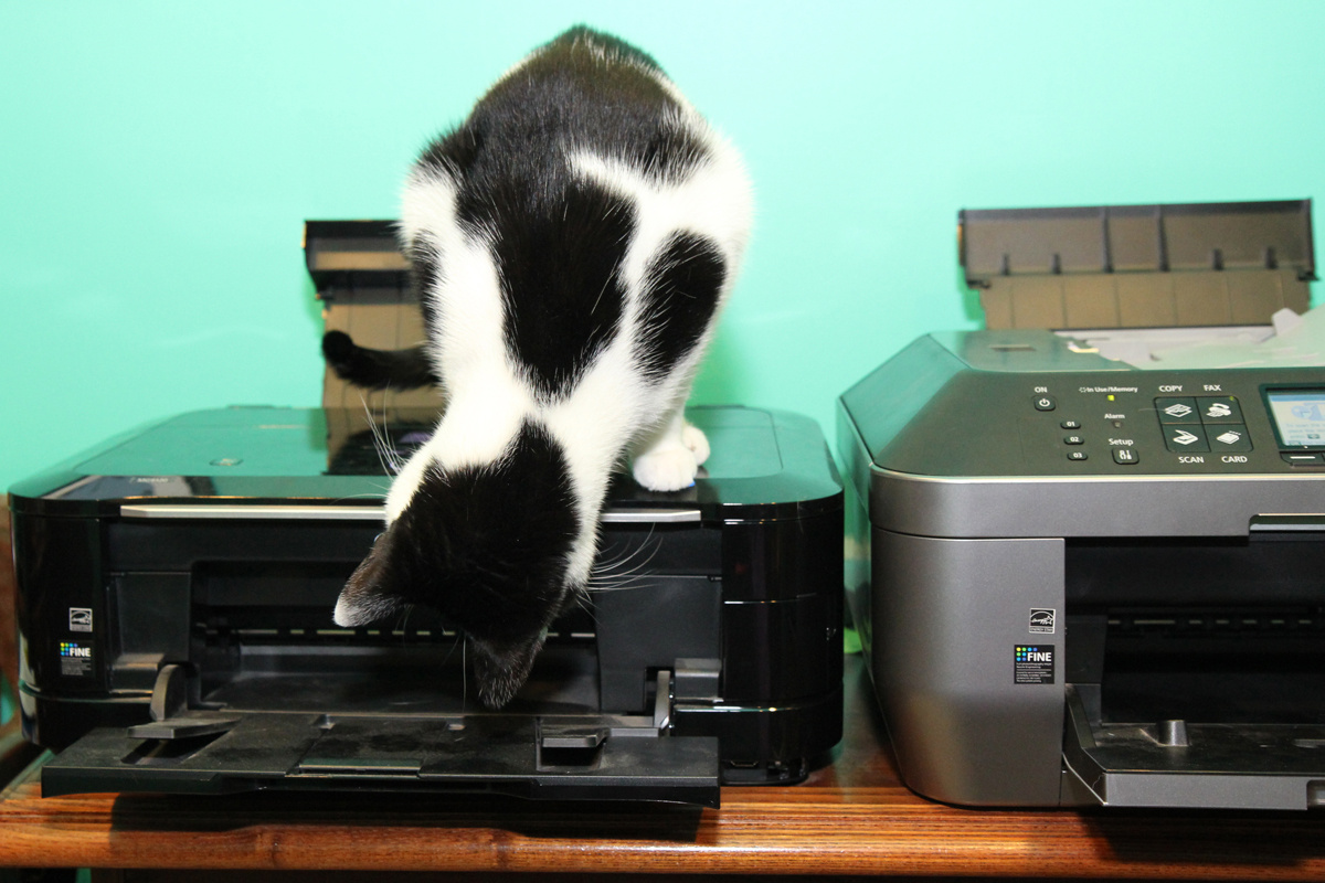 источник Яндекс-картинки