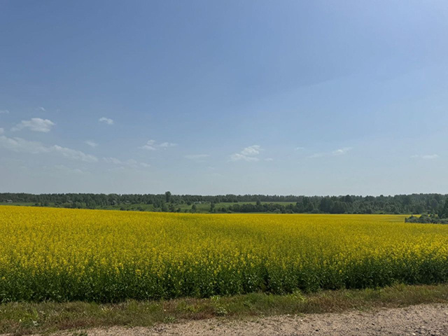 Рапс, мясо и тракторы: в правительстве Тверской области обсудили урожай