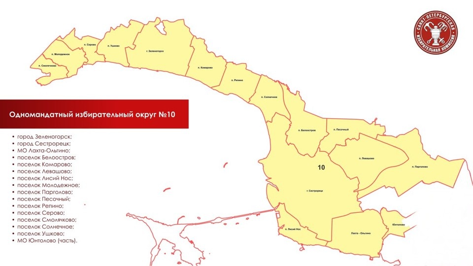    Избирательный округ №10 в новой схеме. Фото: t.me/Meyksin