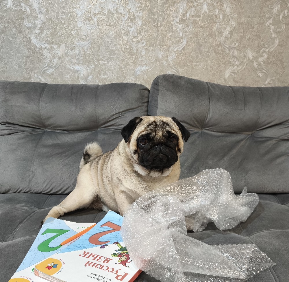 Ефим учит уроки с другом Иваном