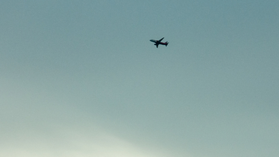    Svetlana Vozmilova/Globallookpress