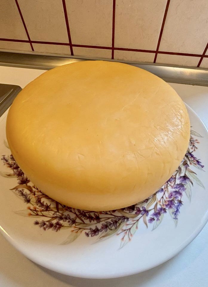 Заломы на сыре из за ткани,нужно лучше расправлять ткань при прессовании.