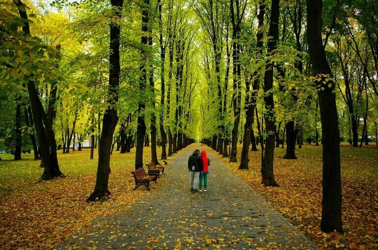   Авилов Александр/Агентство «Москва»