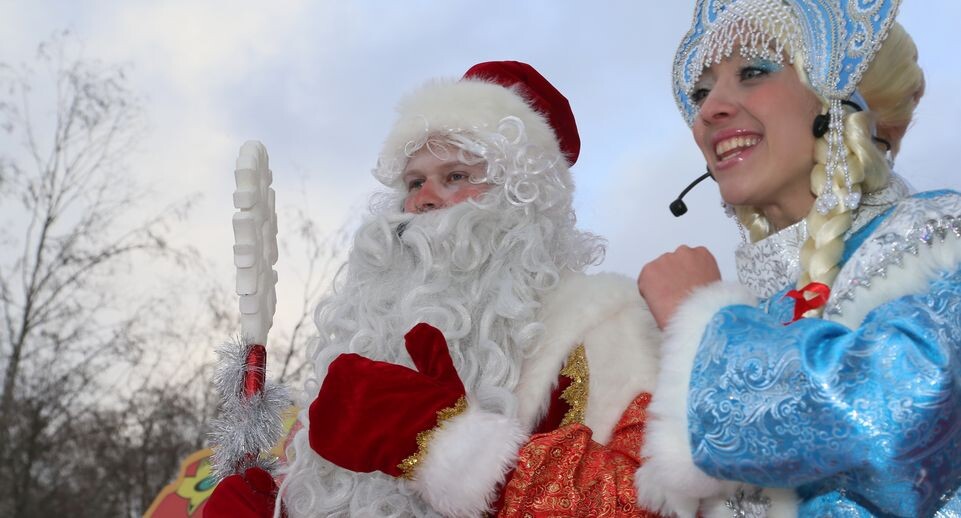    Рубка главной новогодней елки страны / Медиасток.рф