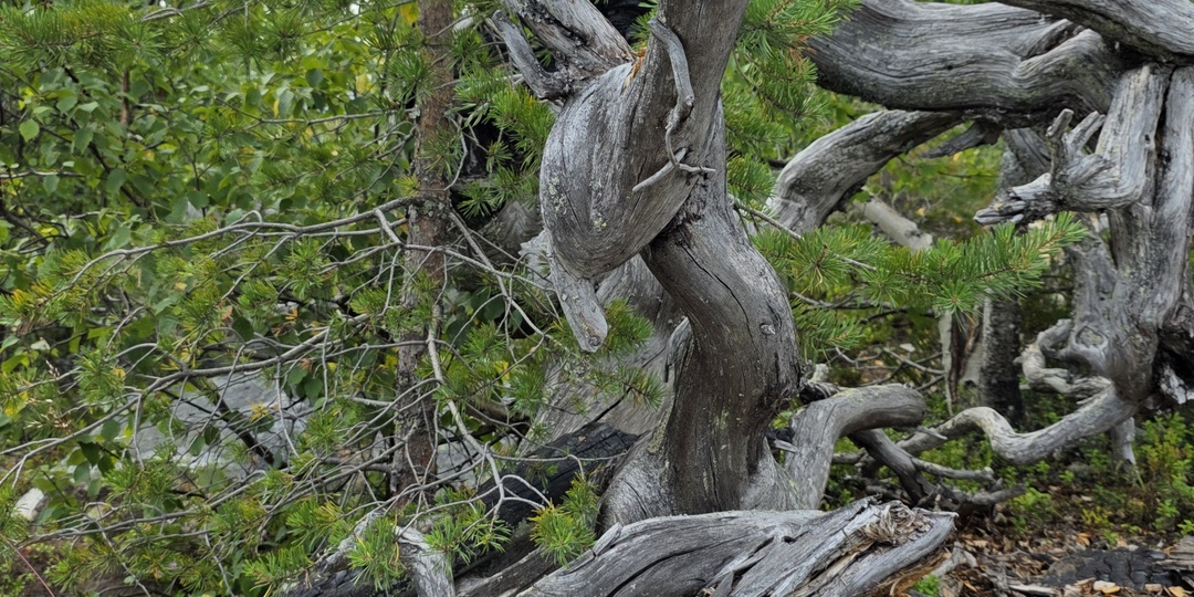 Один день в Карелии. Воттоваара: эзотерика, мистика или не доступная нам истина?