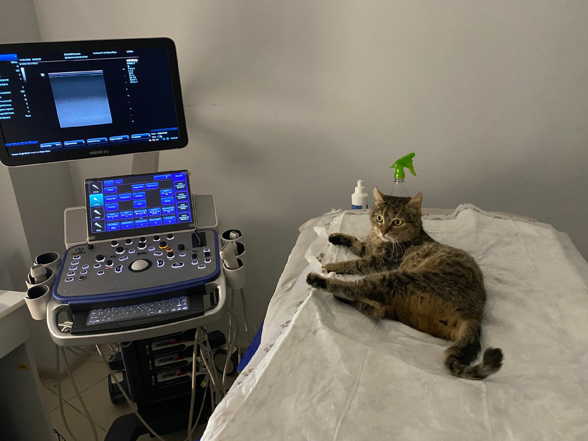 Мы с Асей лечили все, что только можно. Фото из архива автора