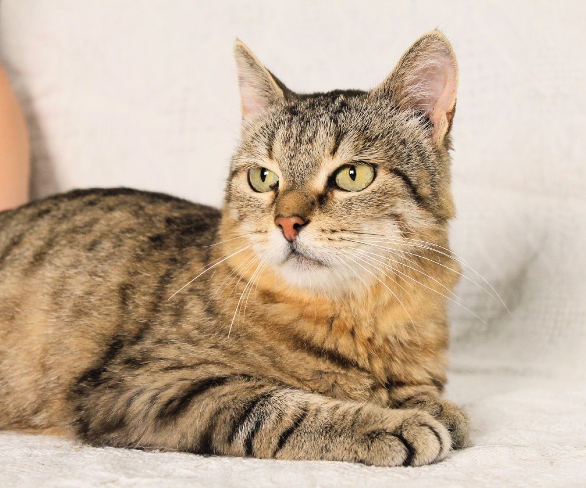 Ася сейчас. Фото из архива автора