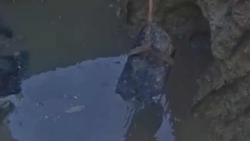      Фото: скриншот из видео телеграм-канала Михаила Миненкова