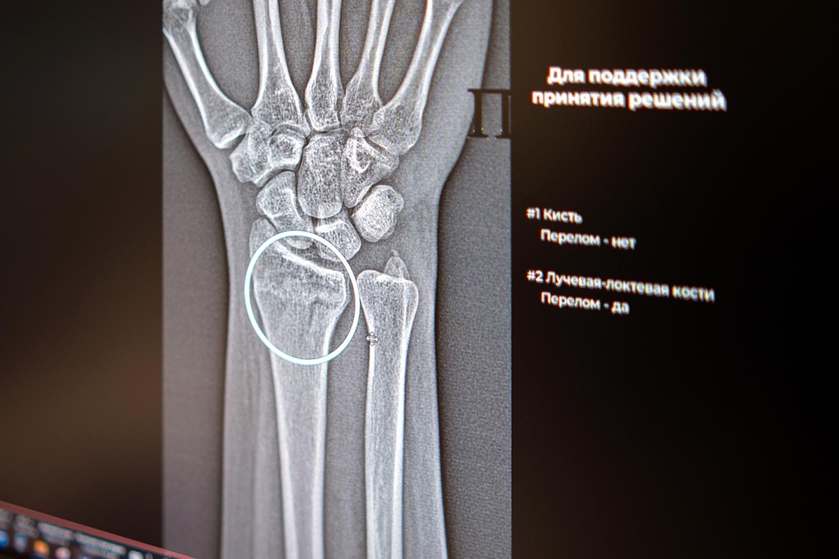    Фото: правительство Москвы, источник: mos.ru