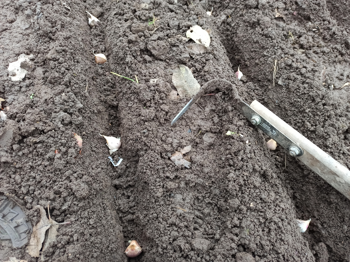 Фото автора. 