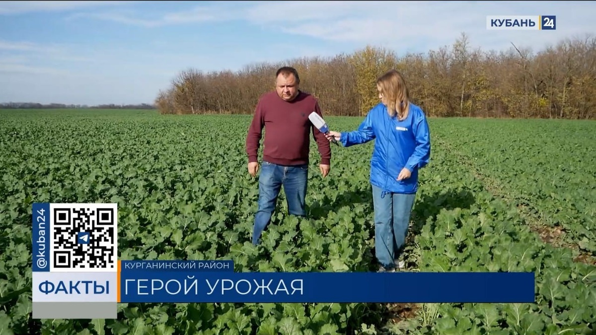    Скриншот видео телеканала «Кубань 24»