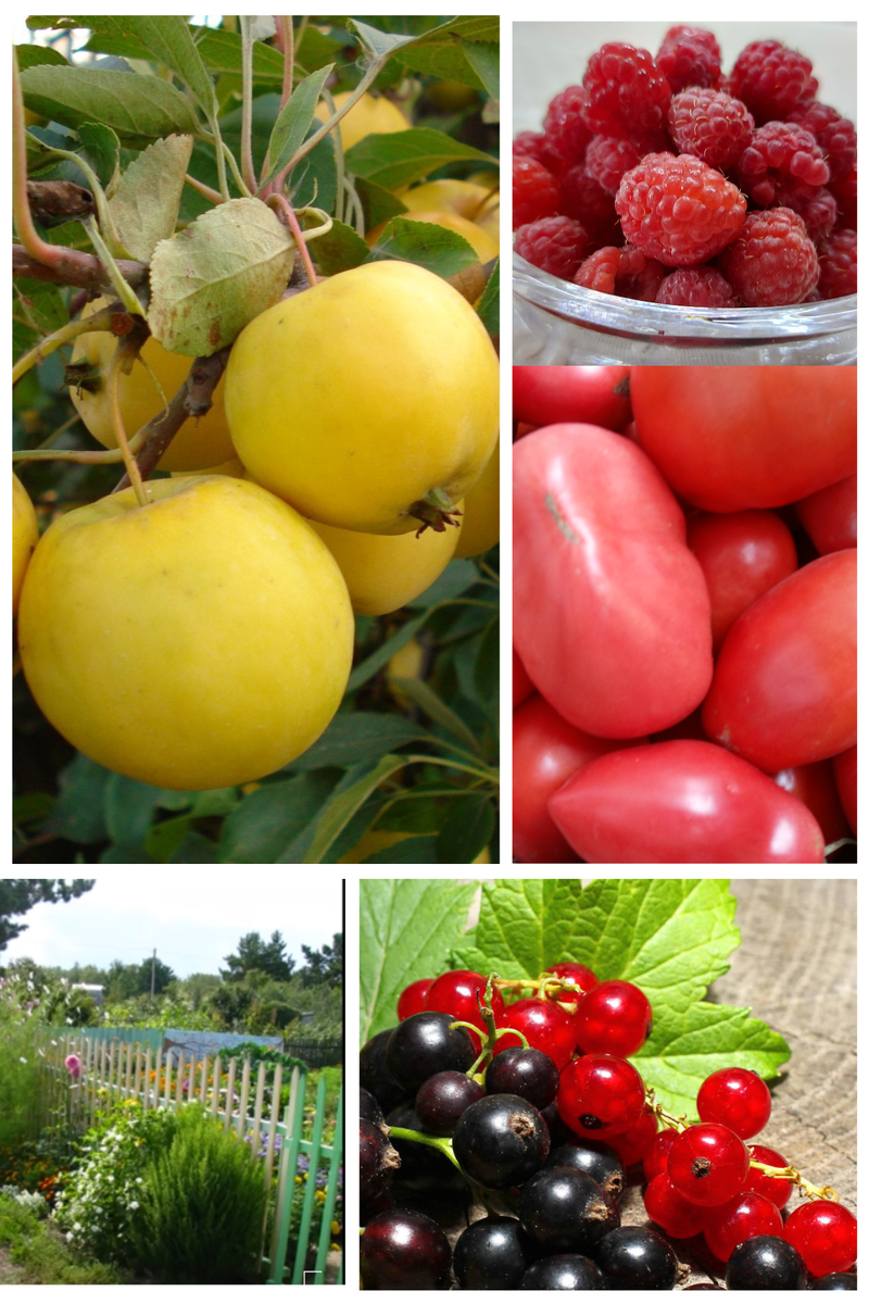 #уютнаялитература #теплыерассказы #душевныеистории #сказкидлявзрослых #историидлянастроения #рассказыдлядушевноготепла #женскаяпроза


