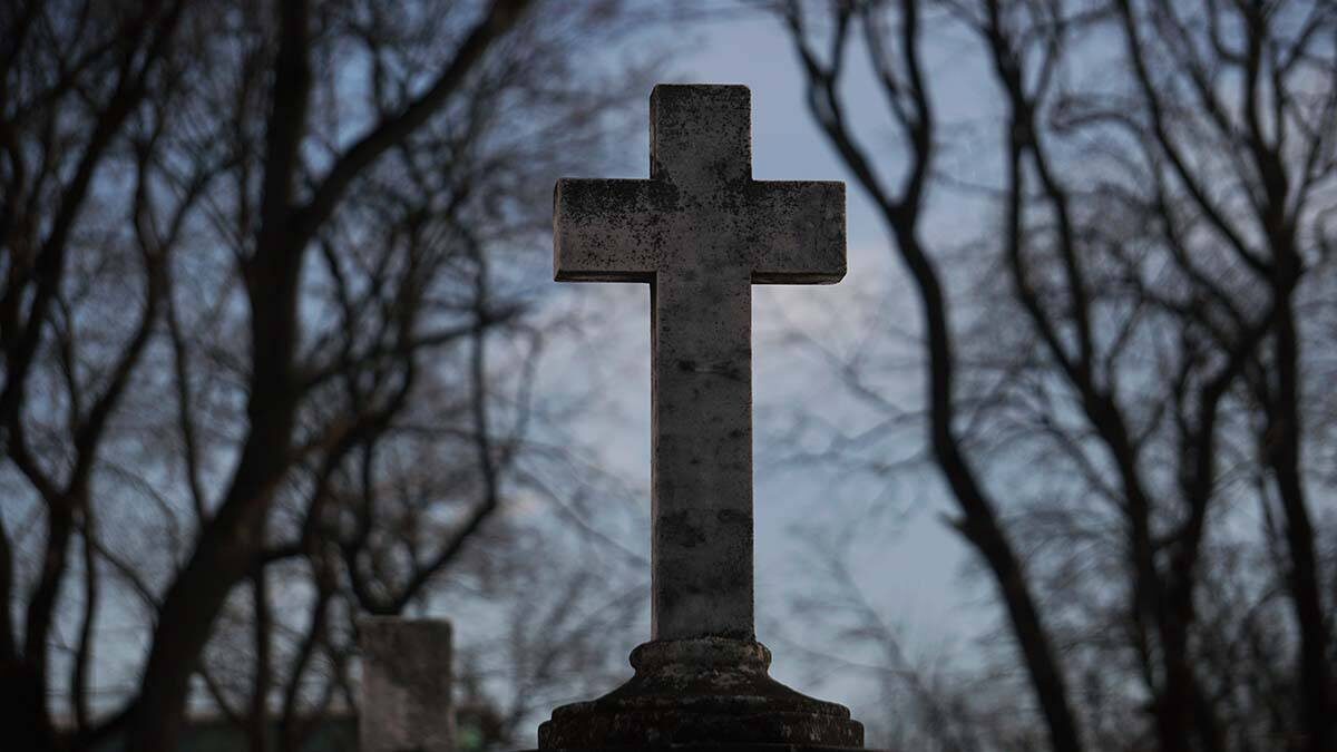    Фото: Анатолий Цымбалюк / Вечерняя Москва