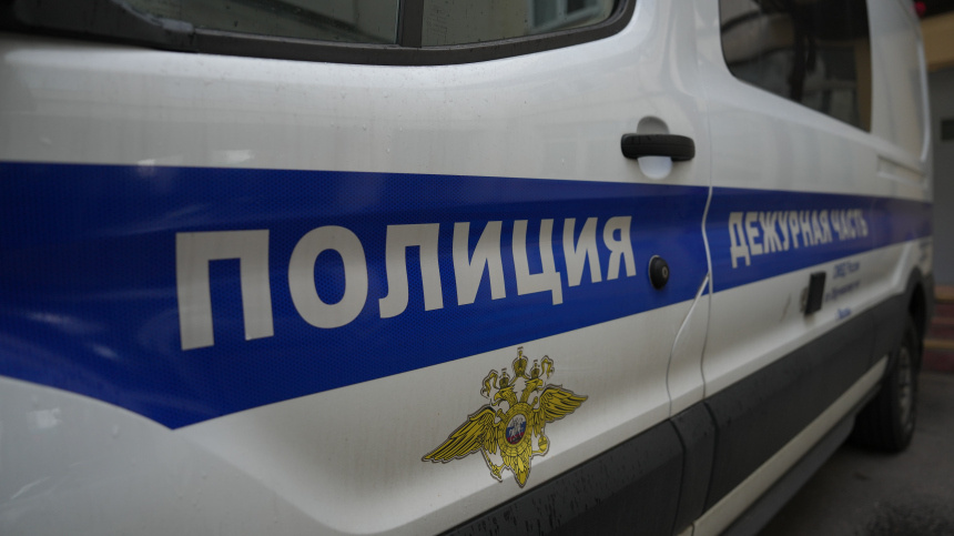    Фото: ИЗВЕСТИЯ/Дмитрий Коротаев; 5-tv.ru