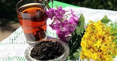 Иван- чай природный лекарь