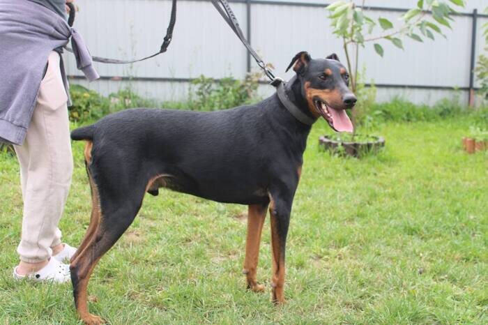 Листайте вправо, чтобы увидеть больше изображений