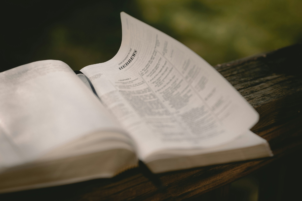 Photo by Matthias Cooper on Unsplash