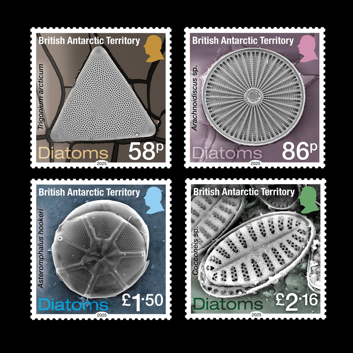 почтовые марки 