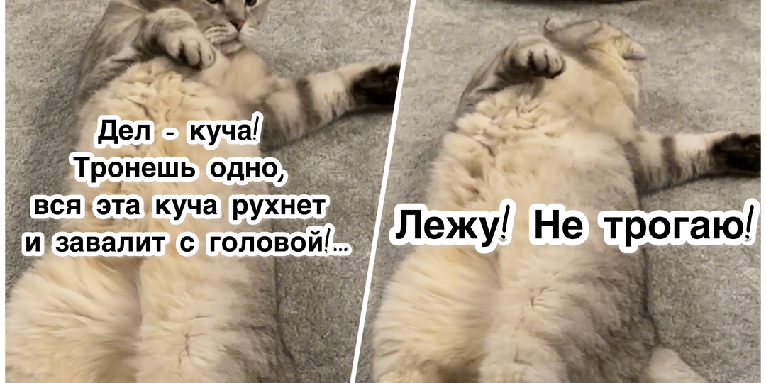 Хороший подход к делу😅