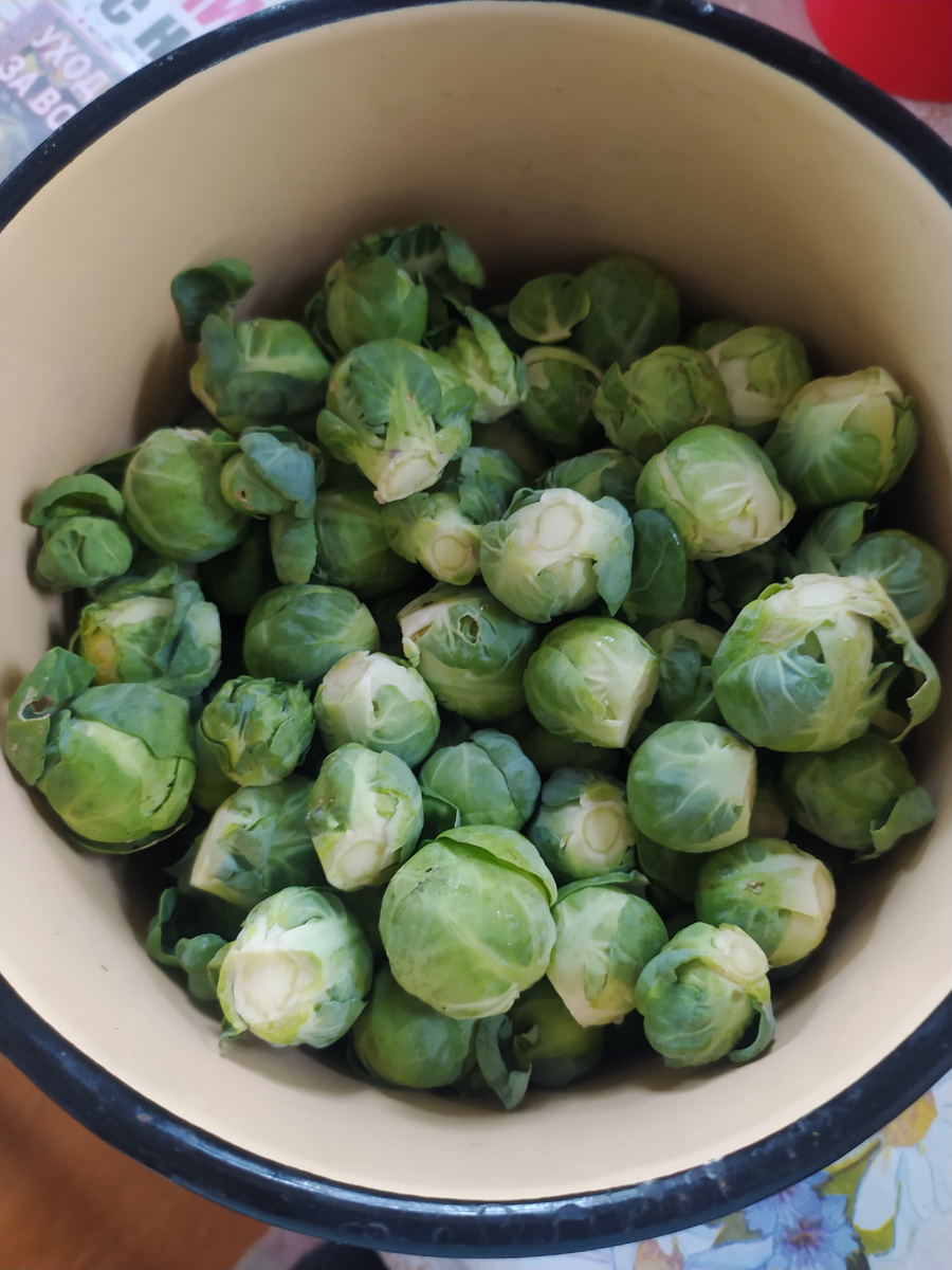 Фото очень хозяйственной тётенька