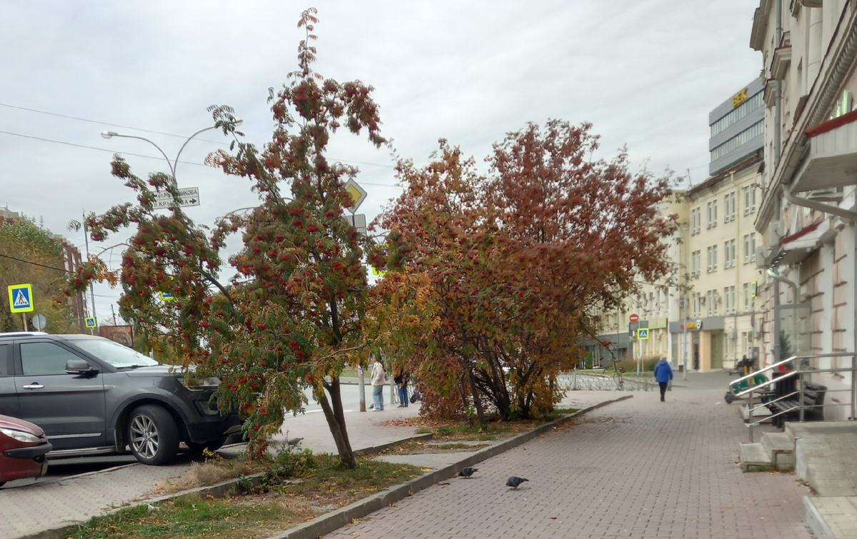 Фото автора.