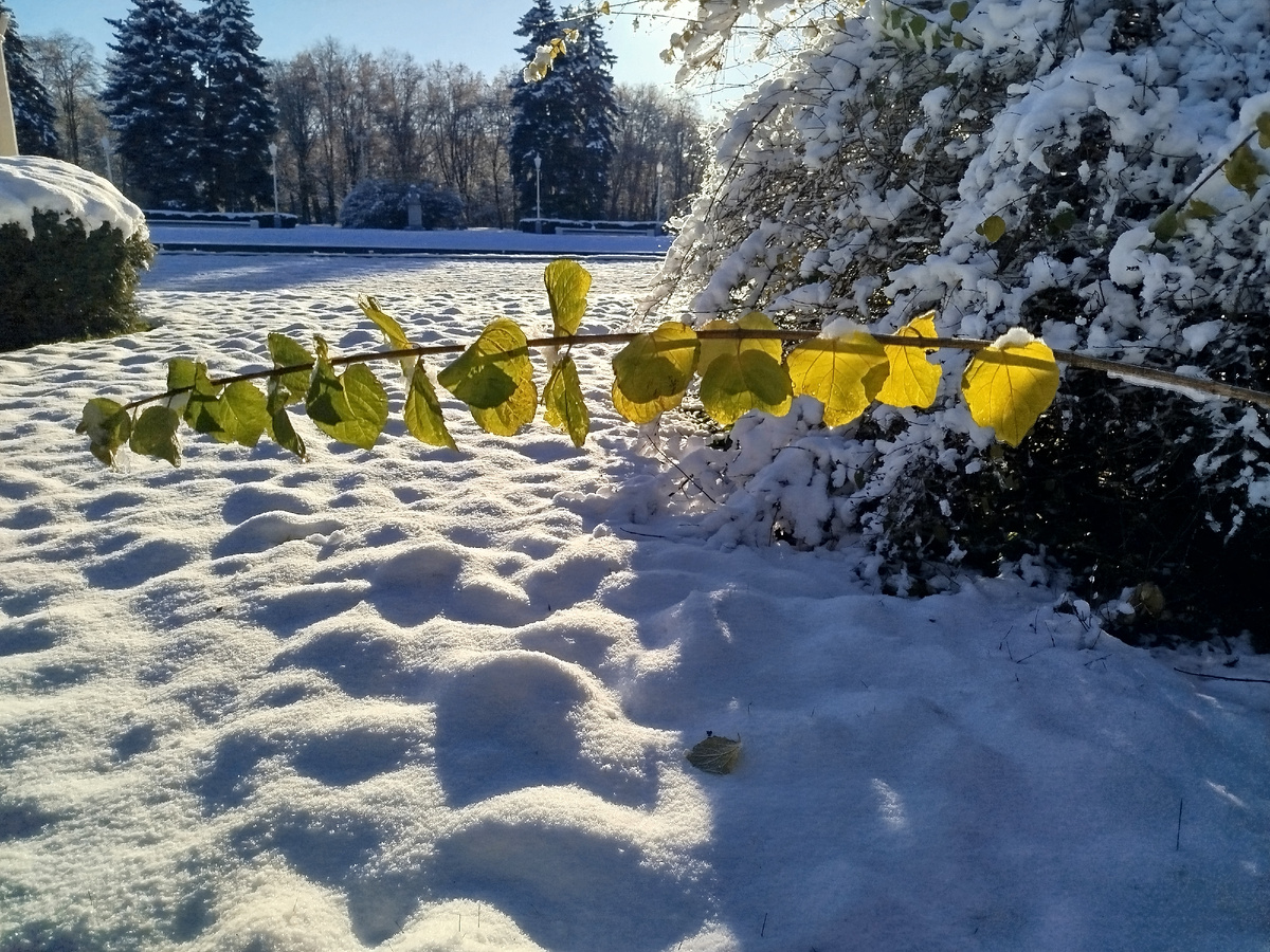 Воскресенье