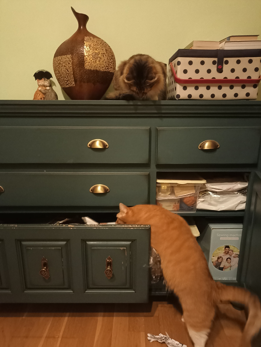 И даже моё присутствие никого не смущает!)) 