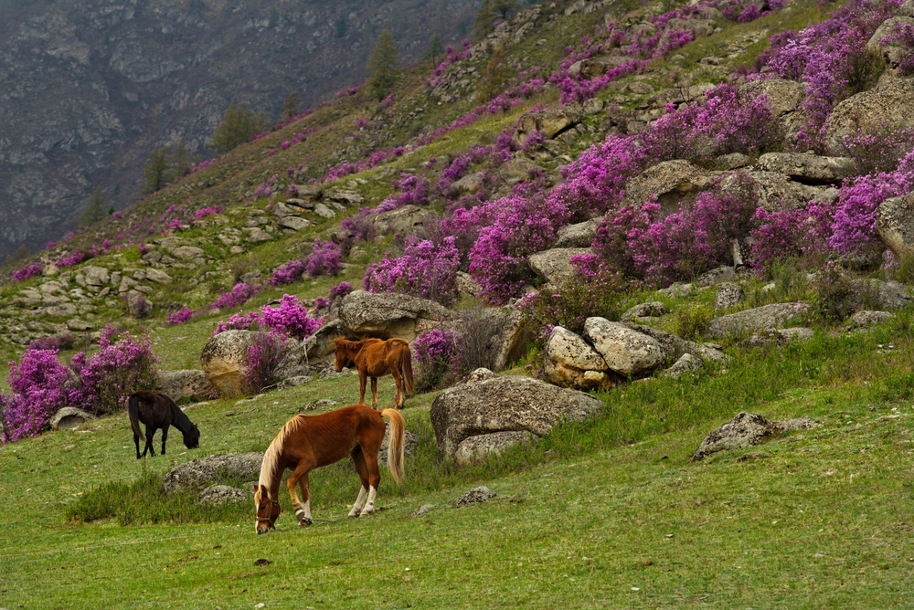 Фото: kaikups / shutterstock.com 