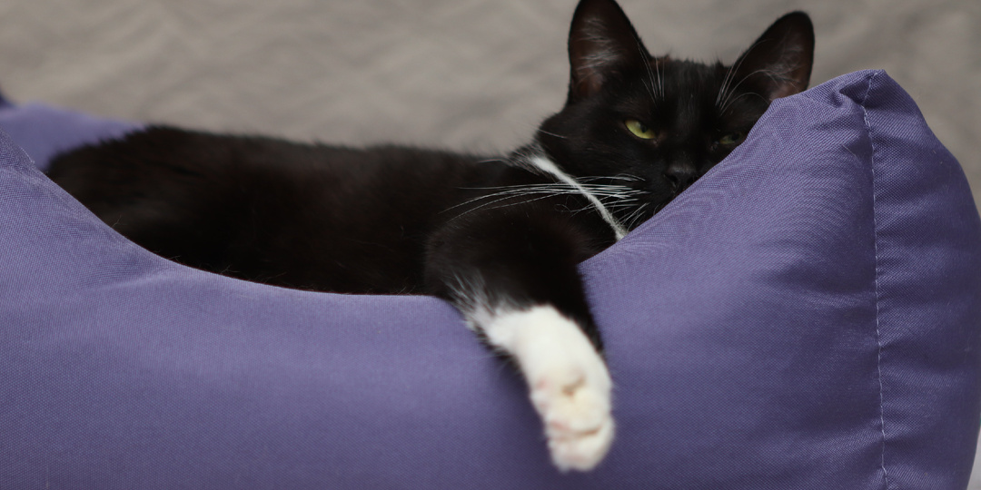 Четыре года назад Маша обрела дом. Сегодня мы празднуем ее счастье