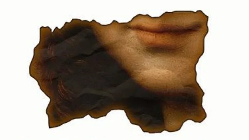 Избражение в свободном доступе.