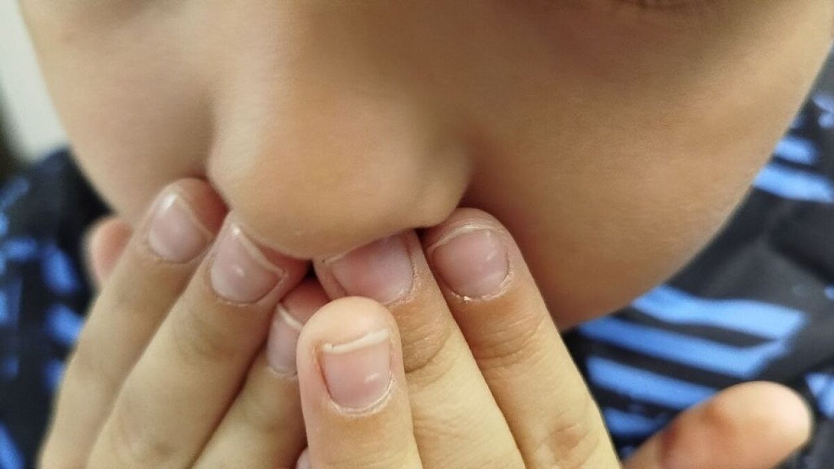    Фото: телеканал «Краснодар»