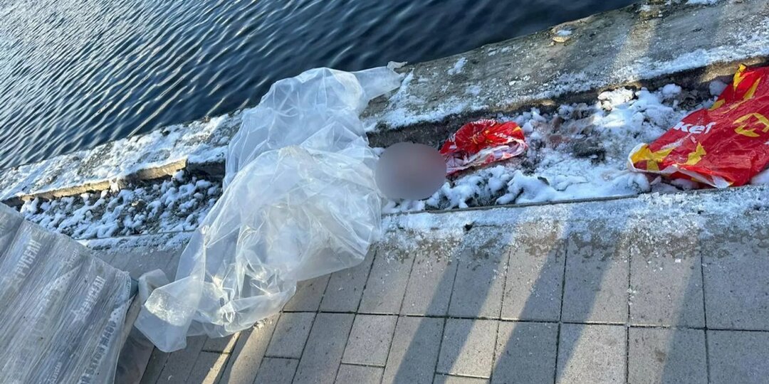 Мать из Балашихи призналась в убийстве сына: что известно о страшной трагедии