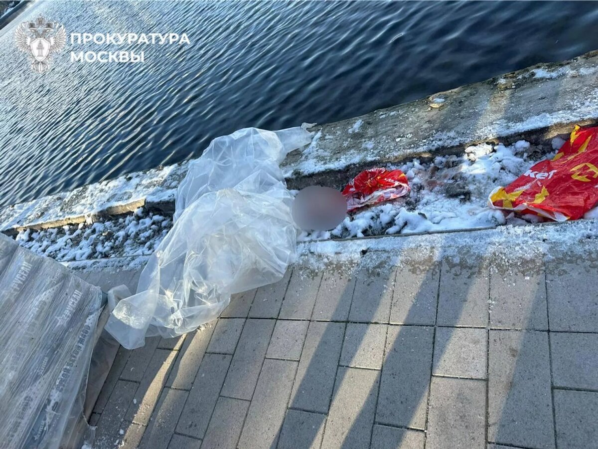 Фото : ПРОКУРАТУРА МОСКВЫ/Telegram
Ост*нки человека в пакете в Гольяновском пруду на востоке Москвы
