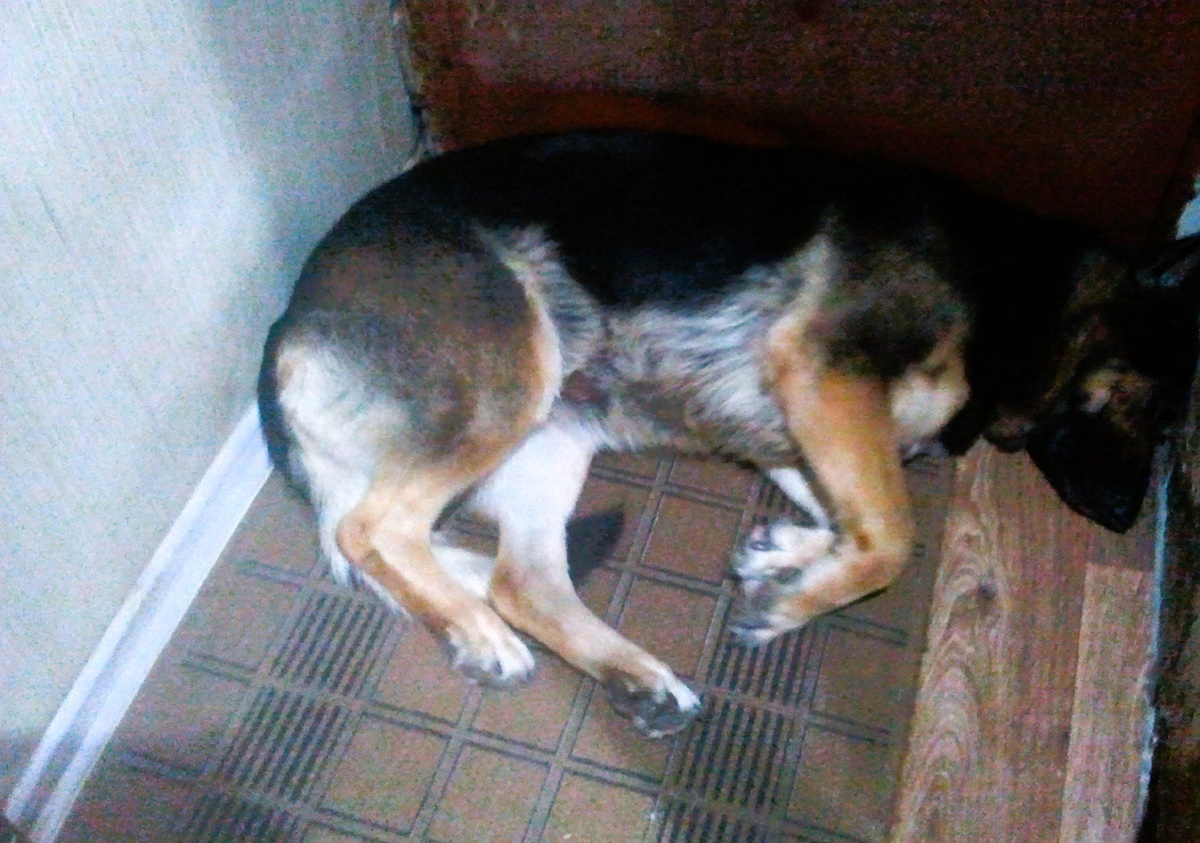 Фото автора