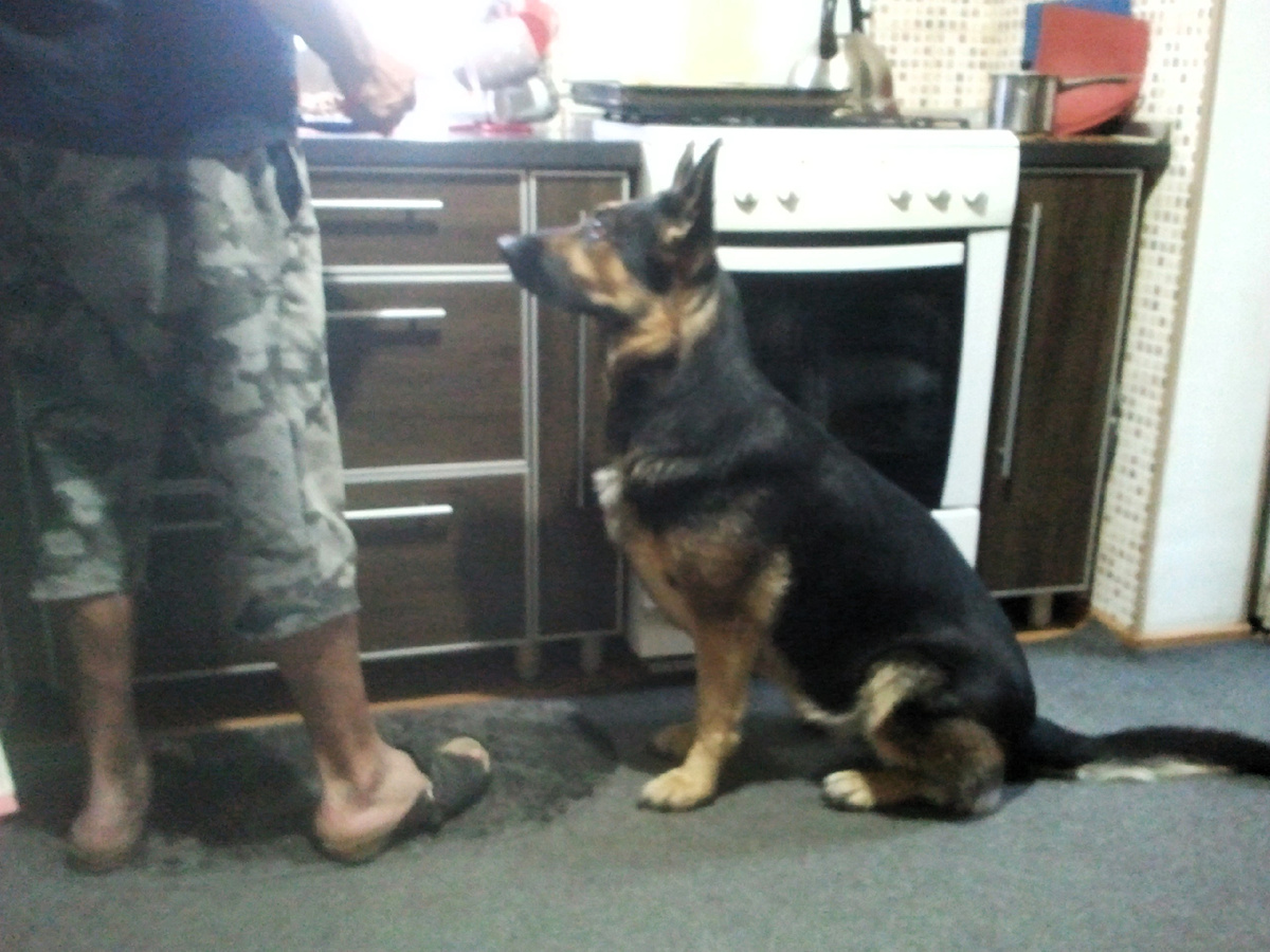 Фото автора