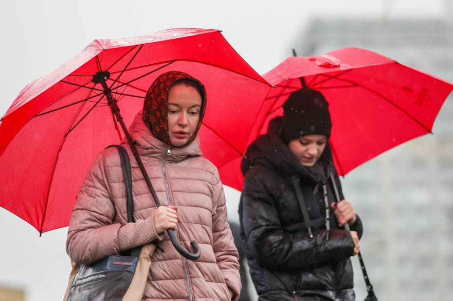    Алексей Белкин/NEWS.ru