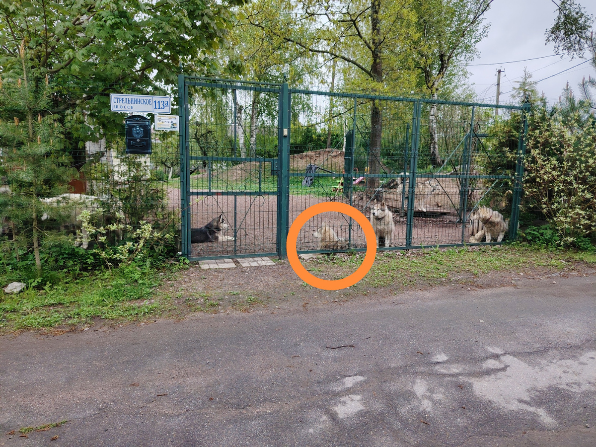 Выделил его на фото