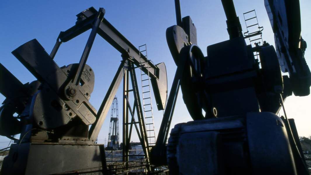  Фото: global Look Press/Boris Babanov/Russian Look